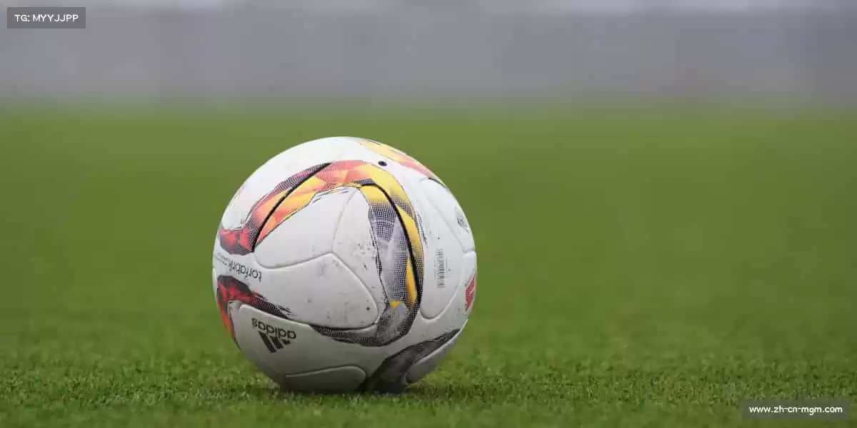 澳门美高梅娱乐场——🎯百步穿杨,精准致胜!